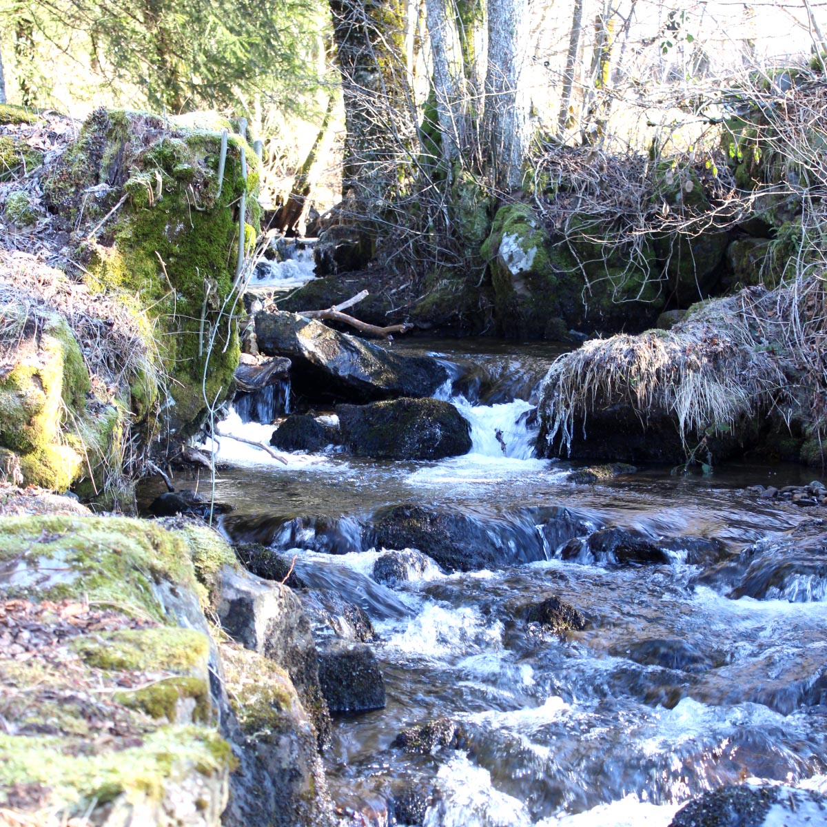 Ruisseau d'Ayssard